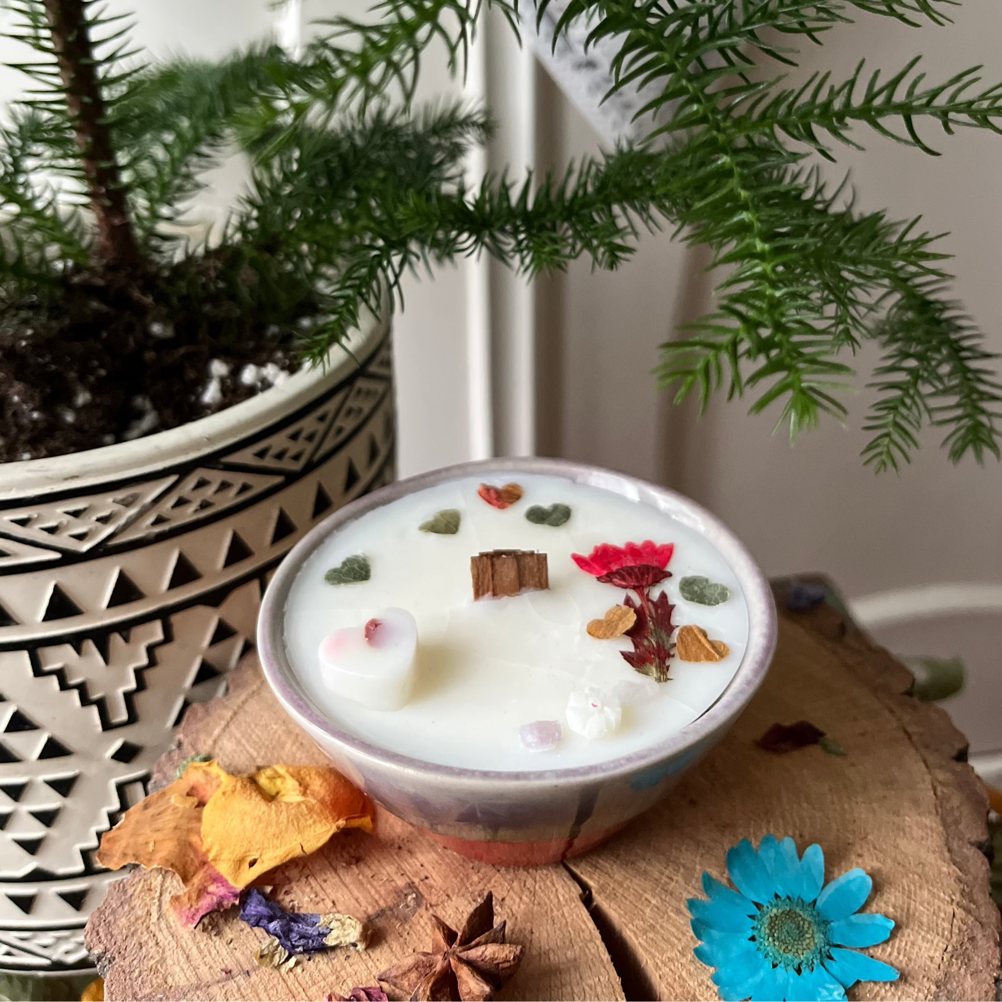 Livly - Botanische Kaars in Keramiek Schaaltje